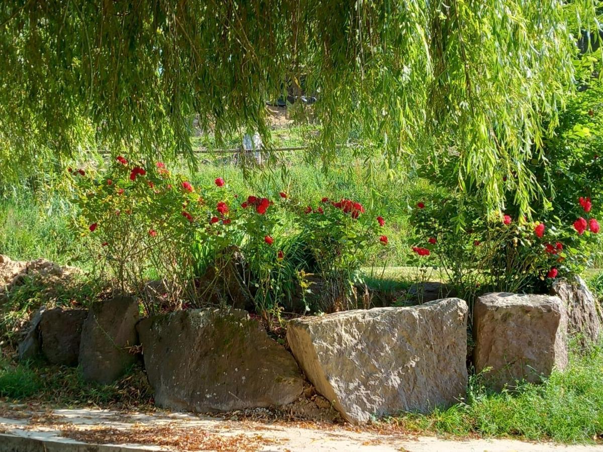 A La Memoire De Merlin & Spa Saint-Malon-sur-Mel 외부 사진